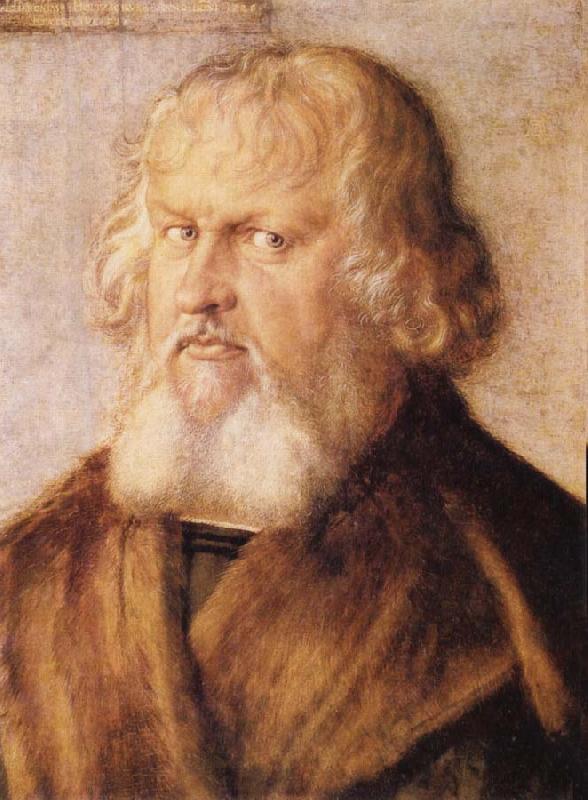 Albrecht Durer Portrait of Hieronymus Holzschuher oil painting image